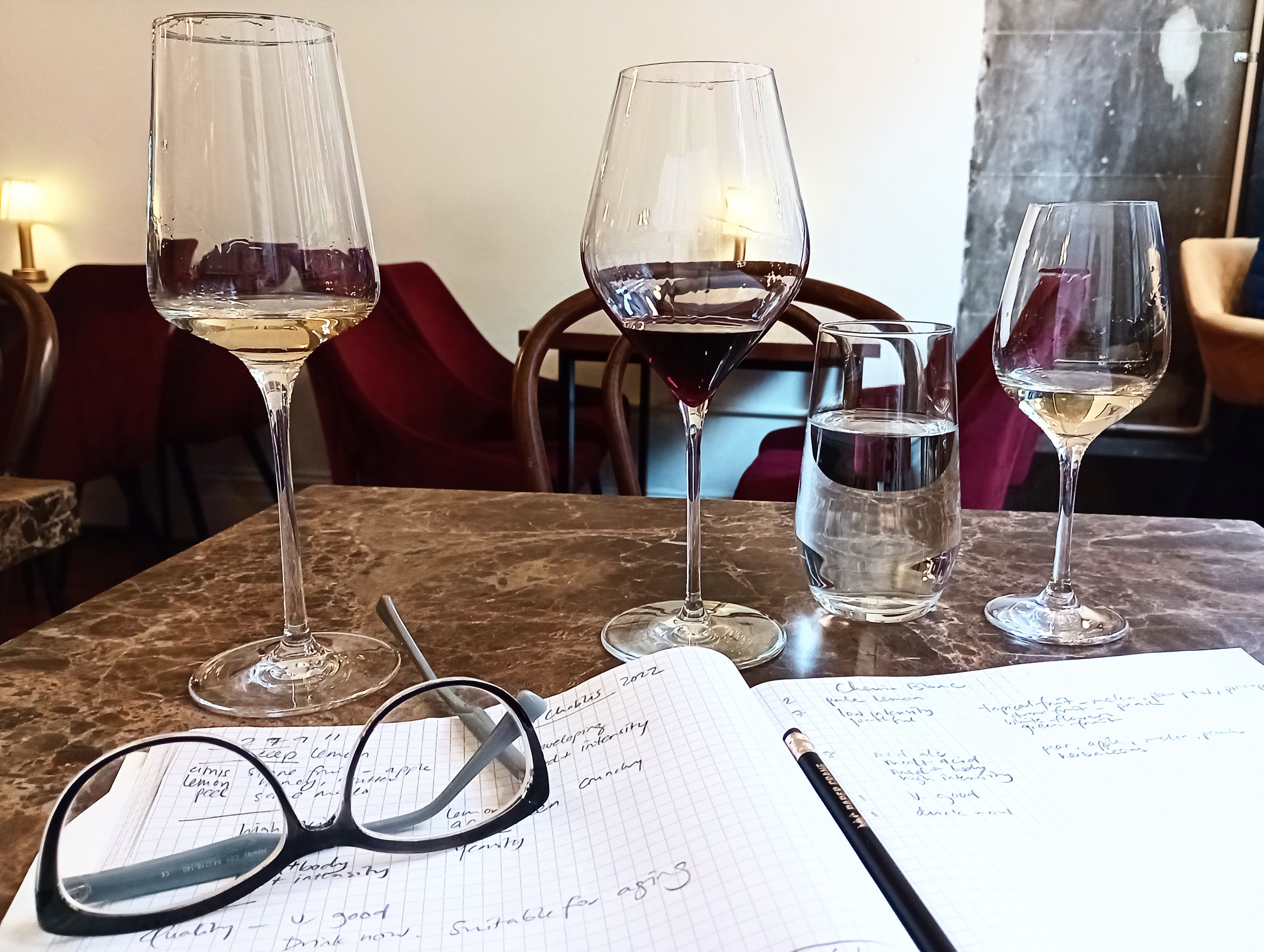 Tiny Pleasures #120: Wine Study